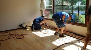 Top Trends in Flooring: Insights from Expert Contractors