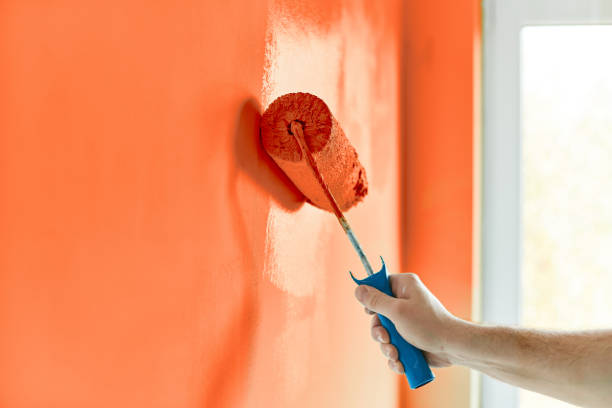 Brushing Brilliance: Quality Touch Painting Service