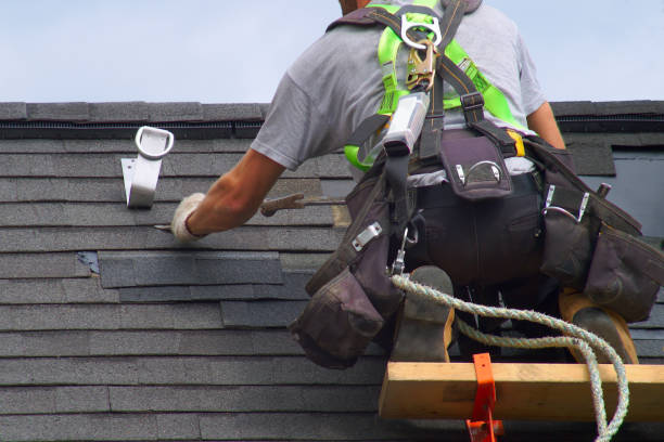 Eco-Friendly Roofing Options: Services and Benefits