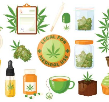 Top-Rated CBD Stores in Austin: What You Should Know