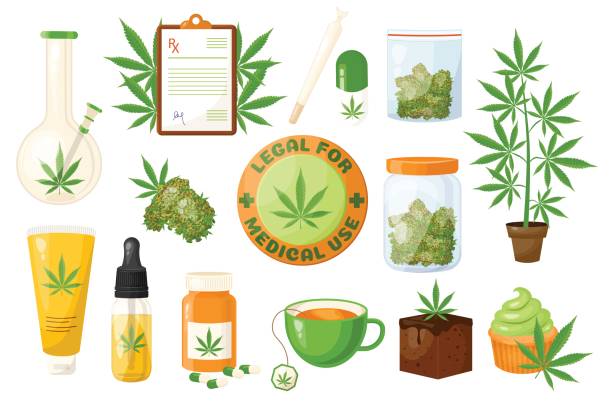 Top-Rated CBD Stores in Austin: What You Should Know