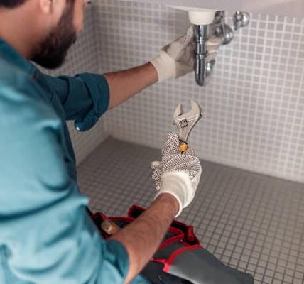 Reliable plumbing companies in my area providing comprehensive house leaks repair services