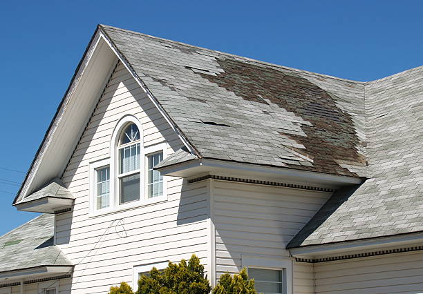 Local Roof Repair Services in Austin: Finding the Right Fit